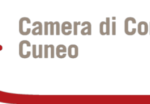 Giorgio Chiesa eletto presidente della Commissione di valutazione